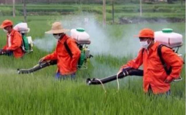 杀菌剂有哪些种类 杀菌剂的作用是什么