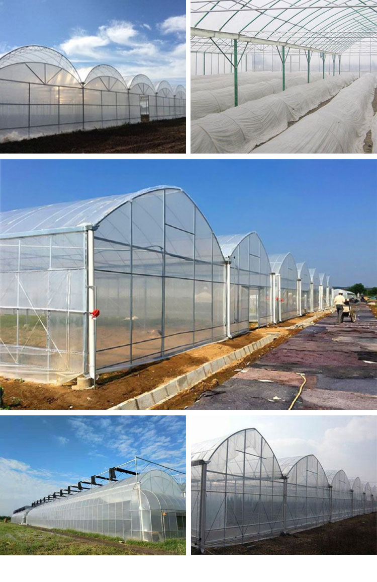 2薄膜温室_05.jpg
