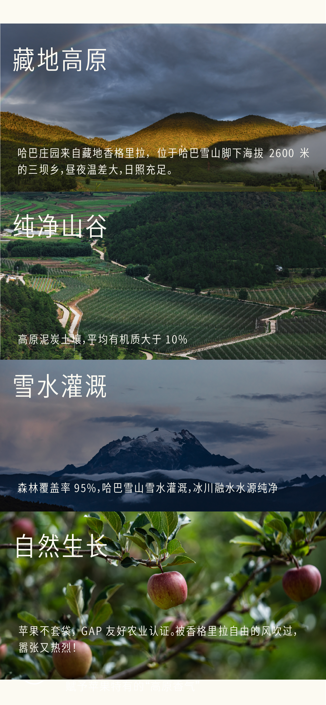 微信图片_20260305142015_687_125.png