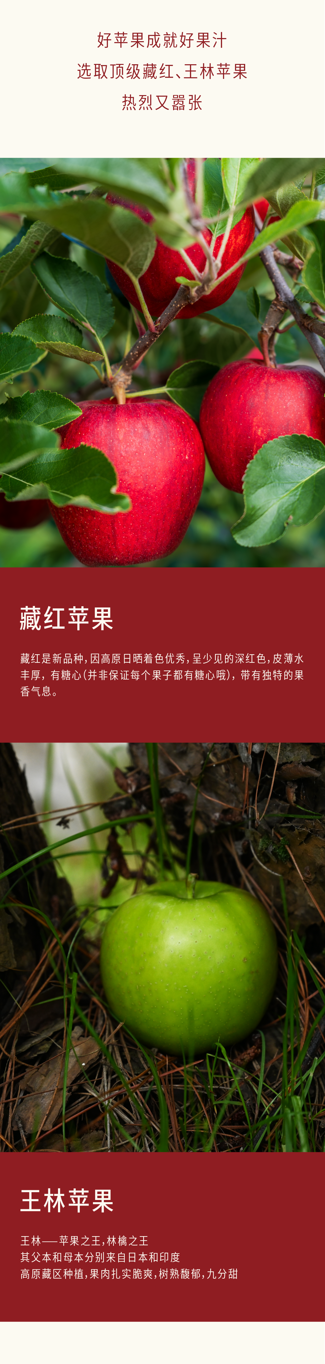 微信图片_20260305142016_688_125.png